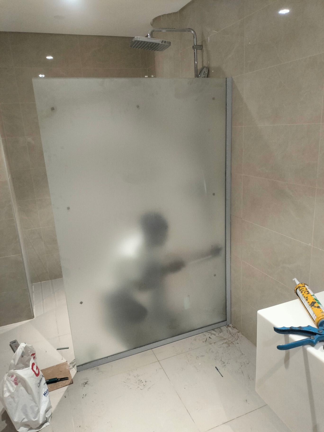 Frosted Shower Glass